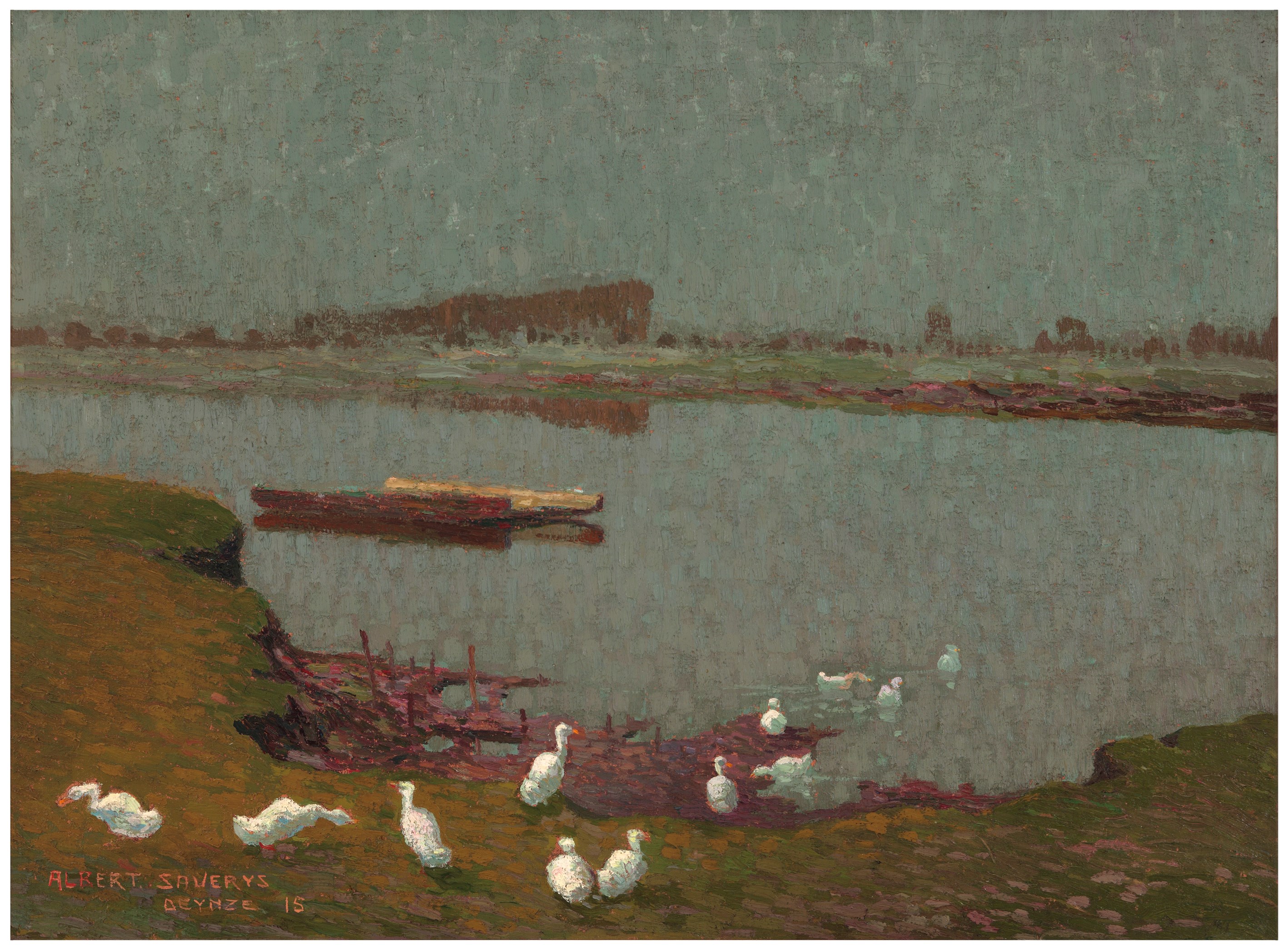 Duckling near the river Lys